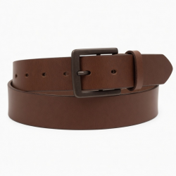 Brown Buckle Belt